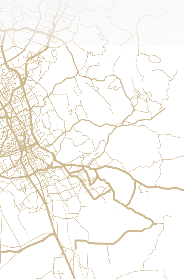 bg-svg